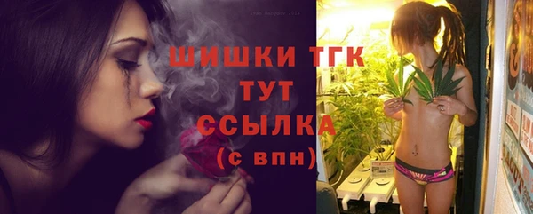 гашик Козельск