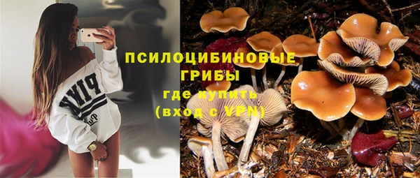 mdpv Михайловка