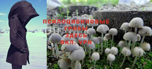 соль курить ск Михайлов